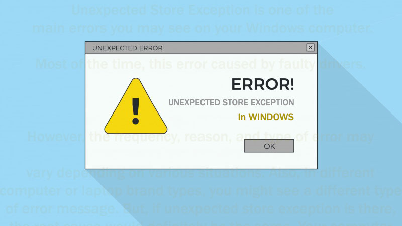 UNEXPECTED STORE EXCEPTION error in windows